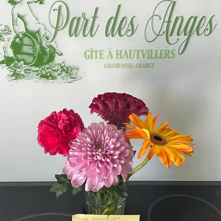 Part Des Anges - Semesterbostad *